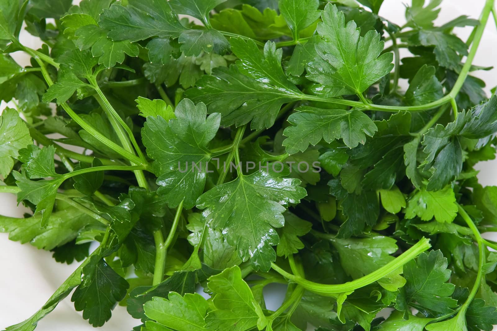 Closeup of fresh parsley on a dish