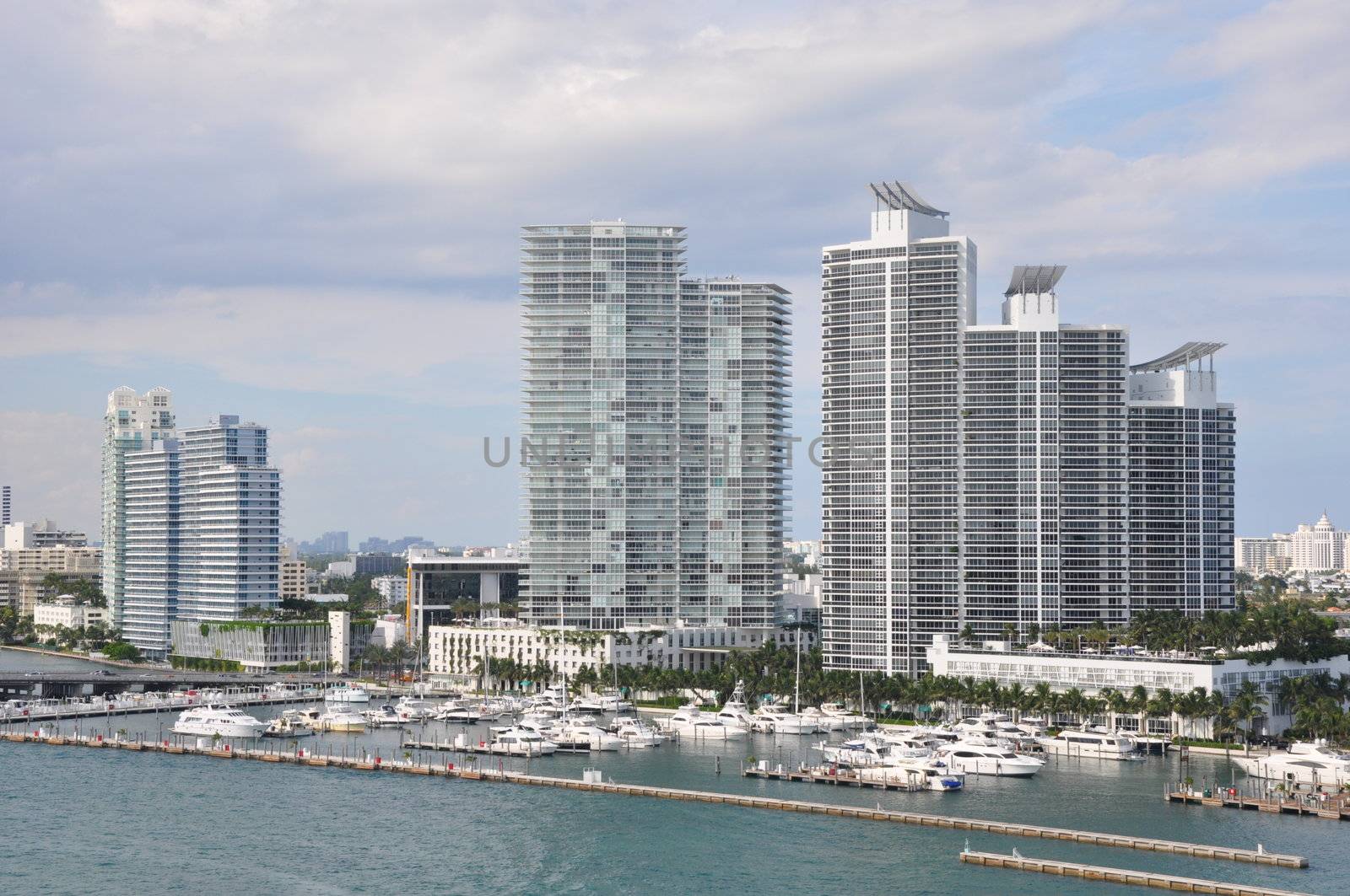 View of Miami in Florida