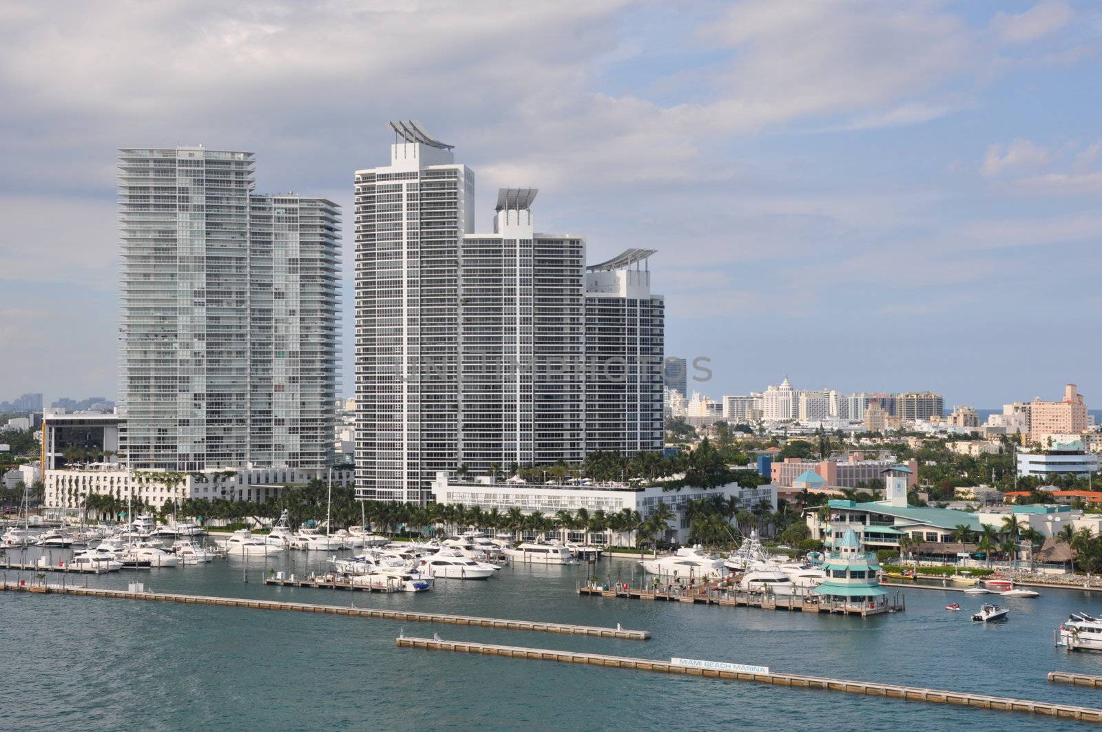 Miami in Florida by sainaniritu