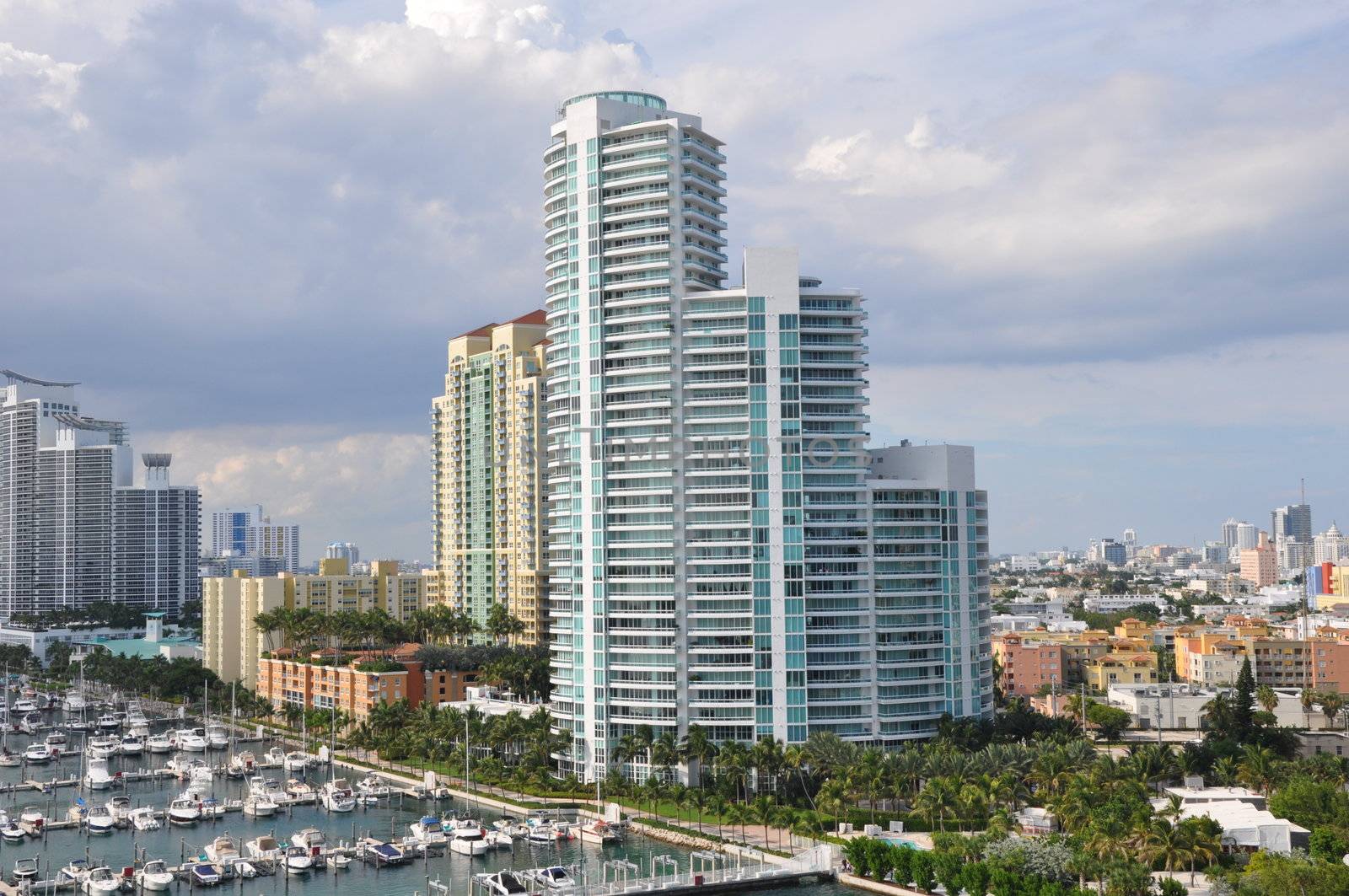 Miami in Florida by sainaniritu