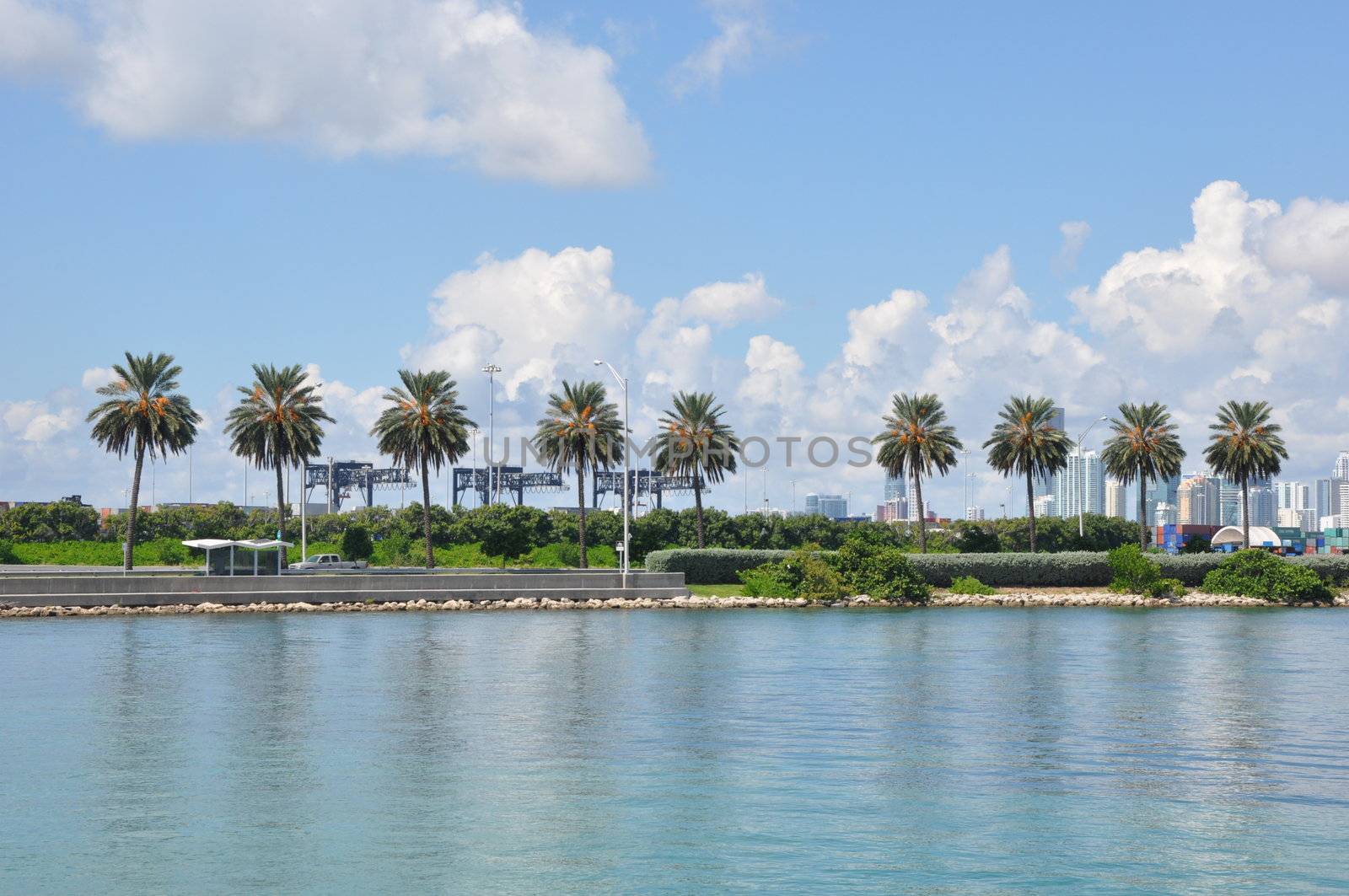 View of Miami in Florida