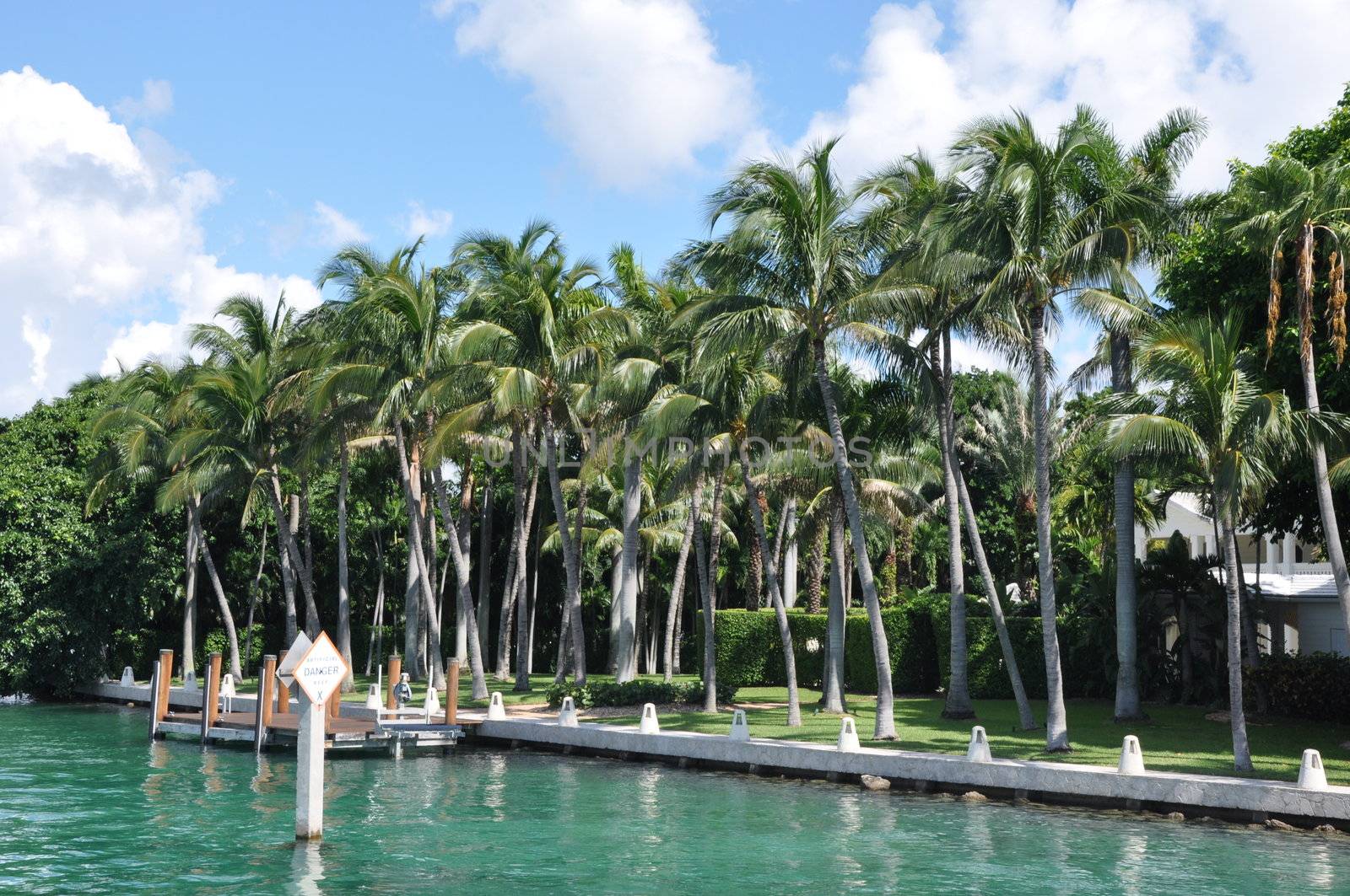 Star & Palm Islands in Miami by sainaniritu