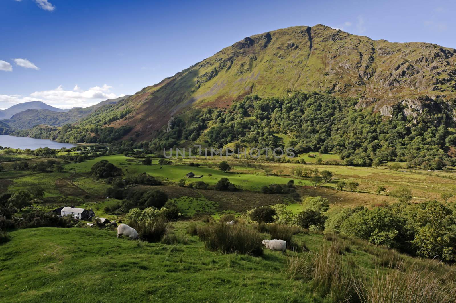 View of Llyn Gwynant in Snowdonia National Park Gwynedd North Wales