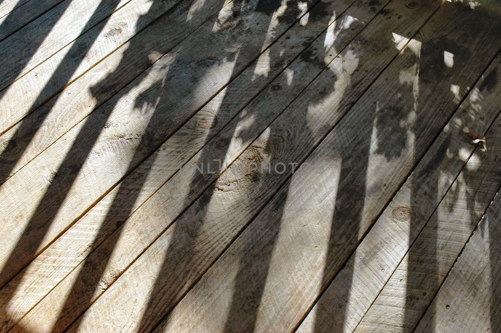 Deck and Shadows