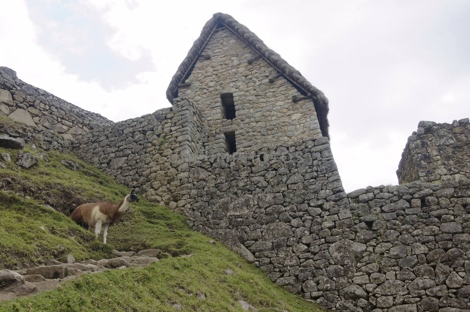 The Lost City of the Incas - Machu Picchu - Best of Peru
