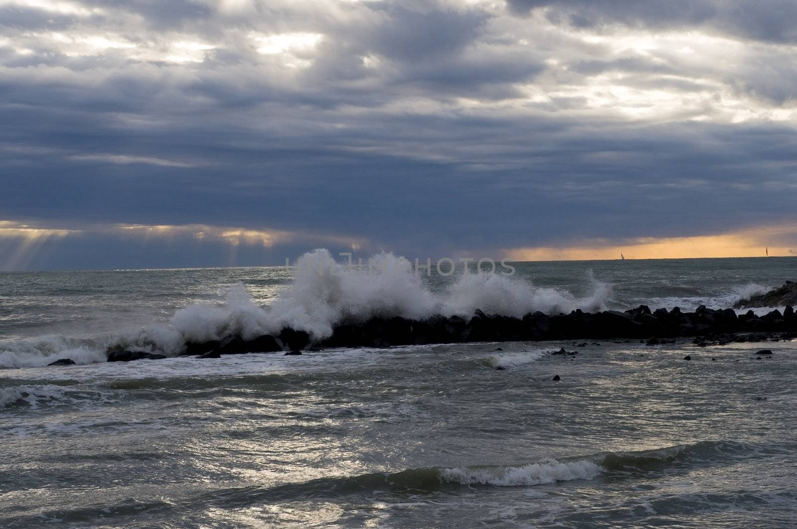 Wave on rock - Winter sea