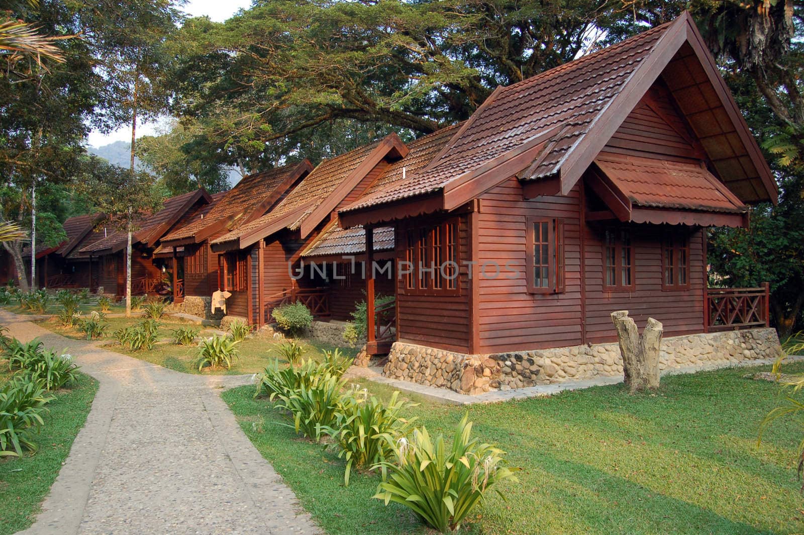 Wooden Houses in the park