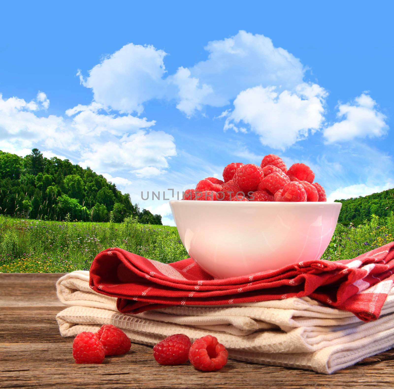 Bowl of raspberries on rustic table in a country setting