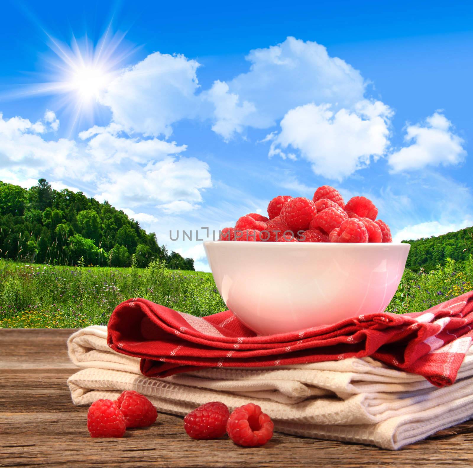 Bowl of raspberries on rustic table in a country setting