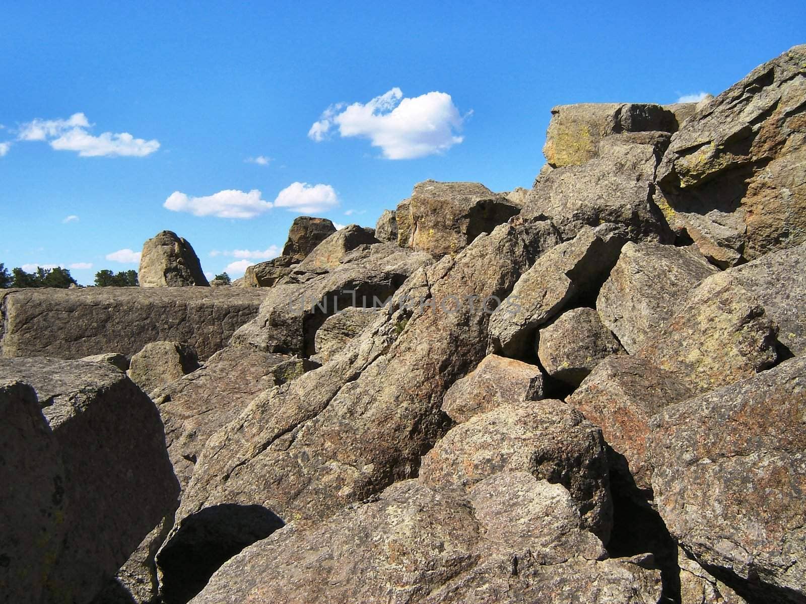 Rocks and trees