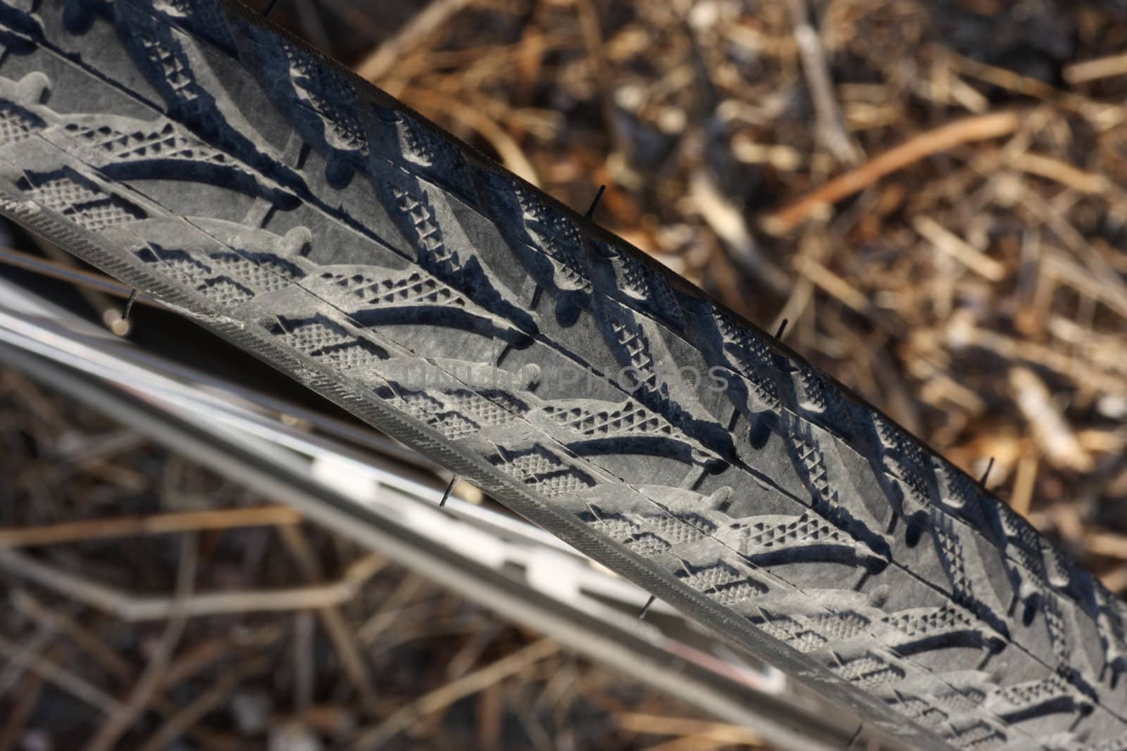 Close up of a bicycle wheel