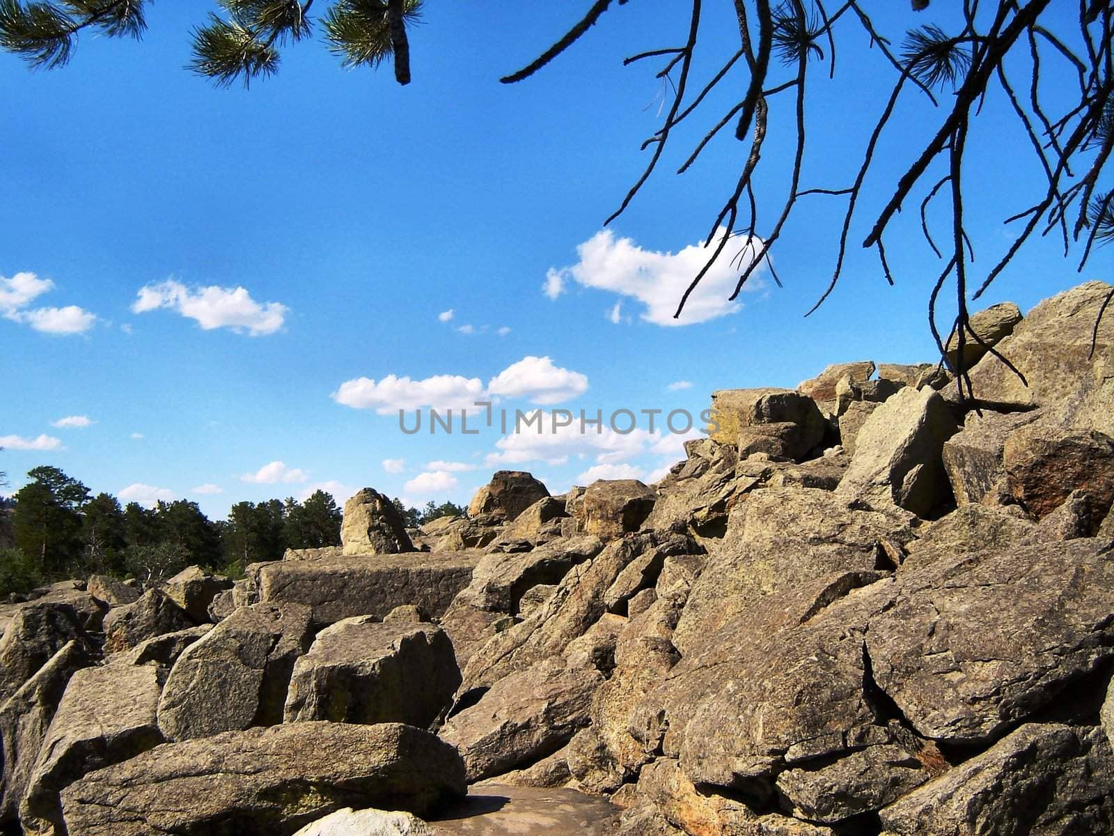 Rocks and trees by RefocusPhoto