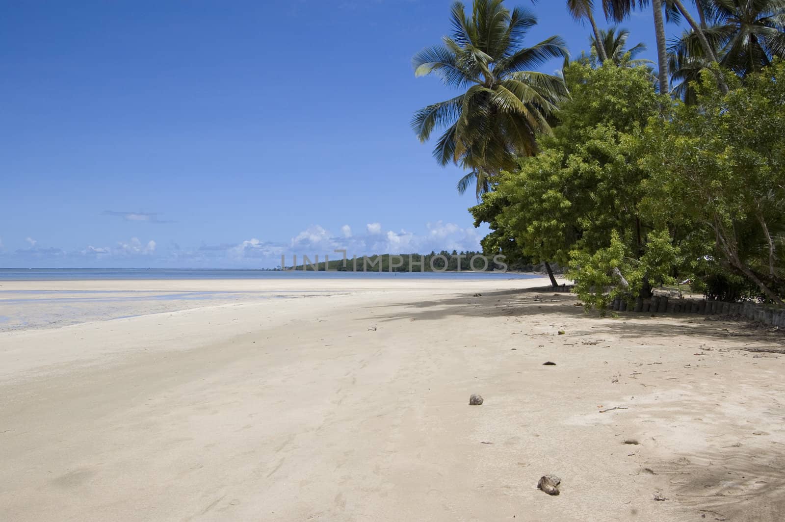 Beautiful tropical beach in Morro de Sao Paulo, Brasil