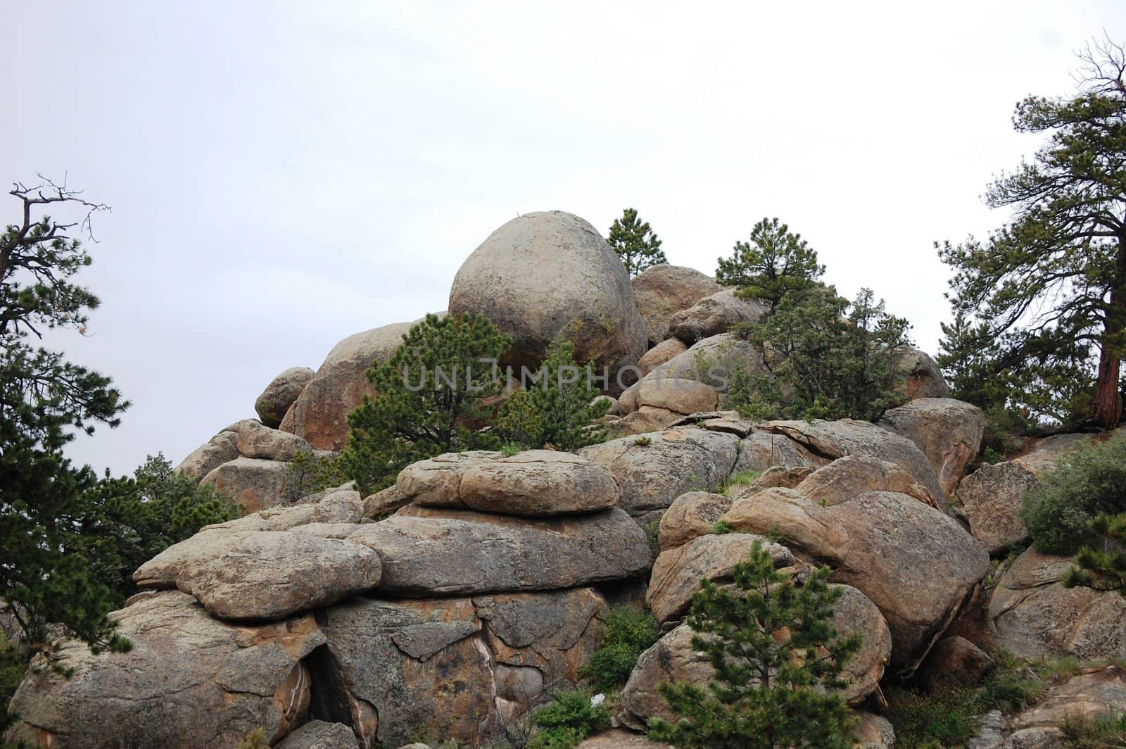 Rocks and trees