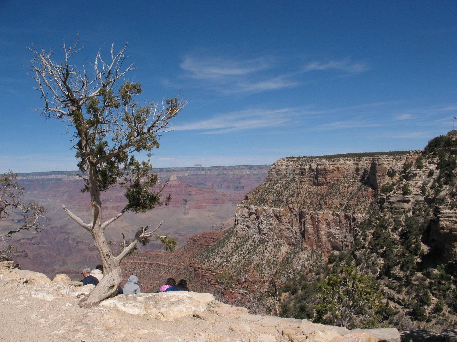 A panorama of the famous Grand Canyon, South Rim, on a beautifu day in April.