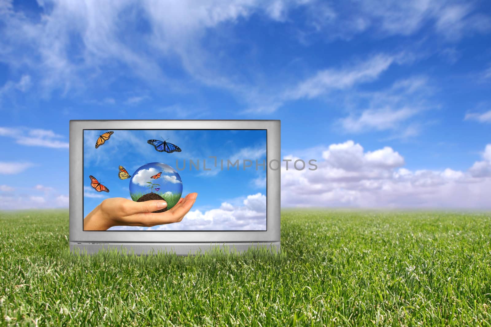Beautiful Field of Green Grass and Blue Cloudy Sky Earth Concept. Front of Grass is in Focus With Intentional Extreme Depth of Field
