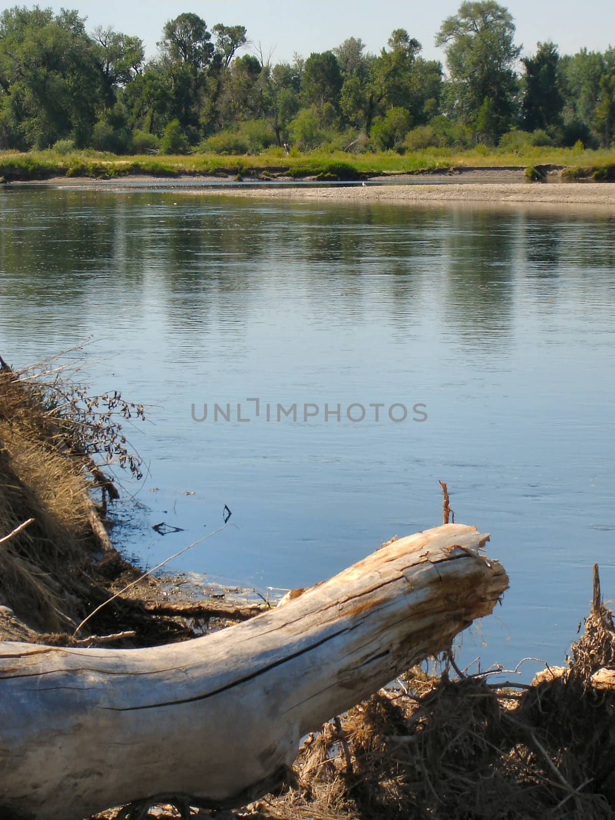 Rivers Trees and Rocks by RefocusPhoto