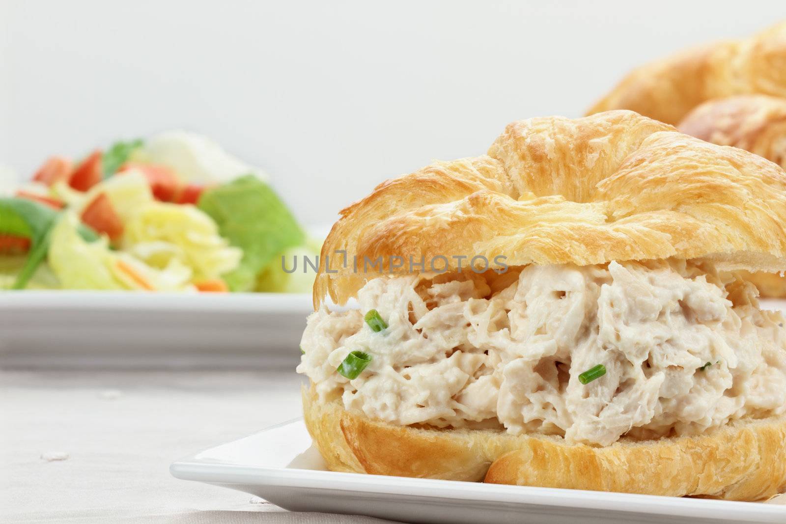 Chicken salad on a croissant bun with a healthy salad.


