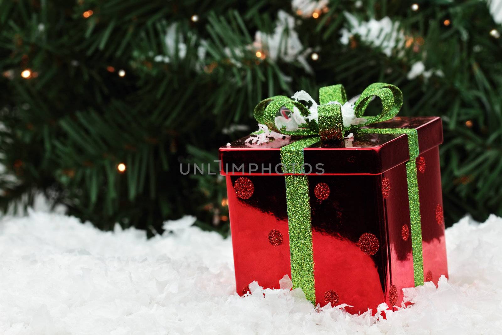 Beautiful red Christmas gift lies in the snow with a Christmas tree background. Shallow DOF.
