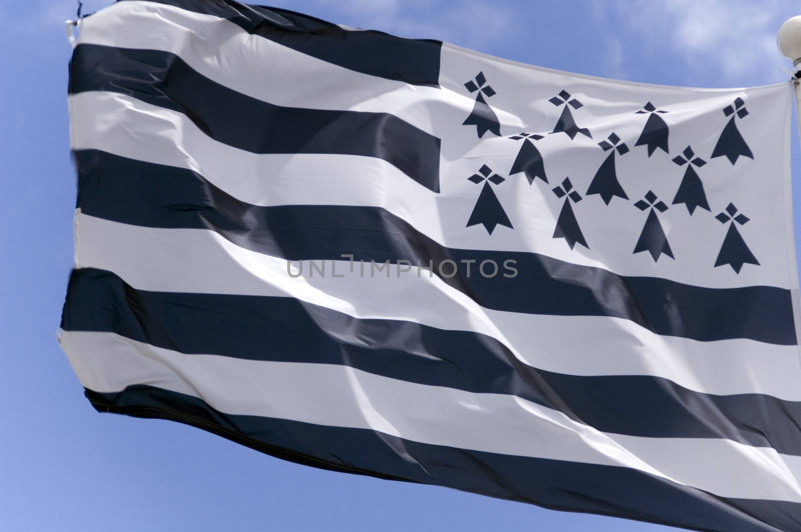 Shot of the flag of Brittany in France