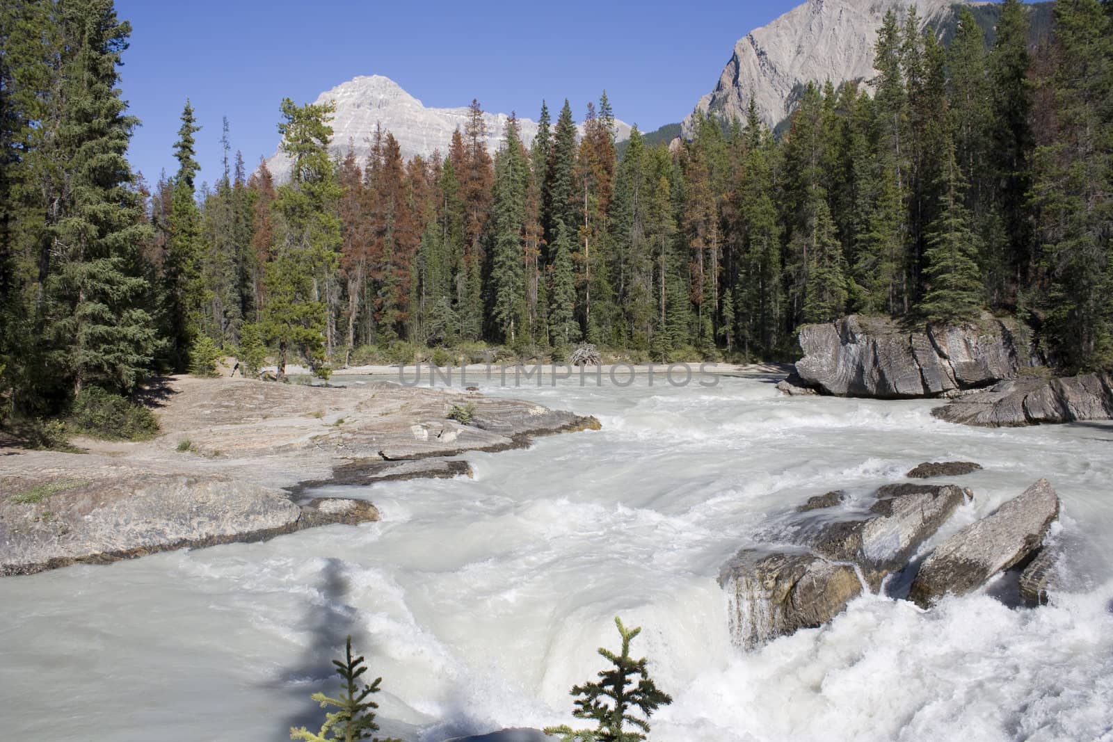 Natural Bridge in Yoho National Park Canada 