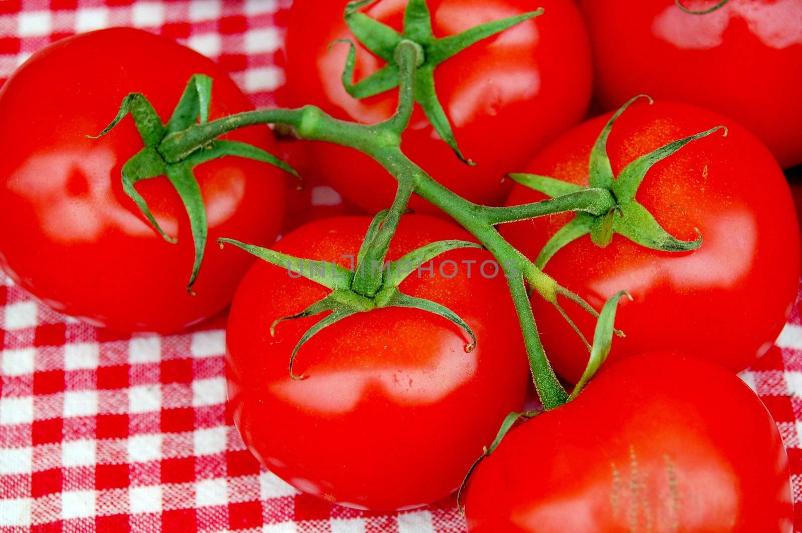 A bunch of fresh red tomatoes in farmers market