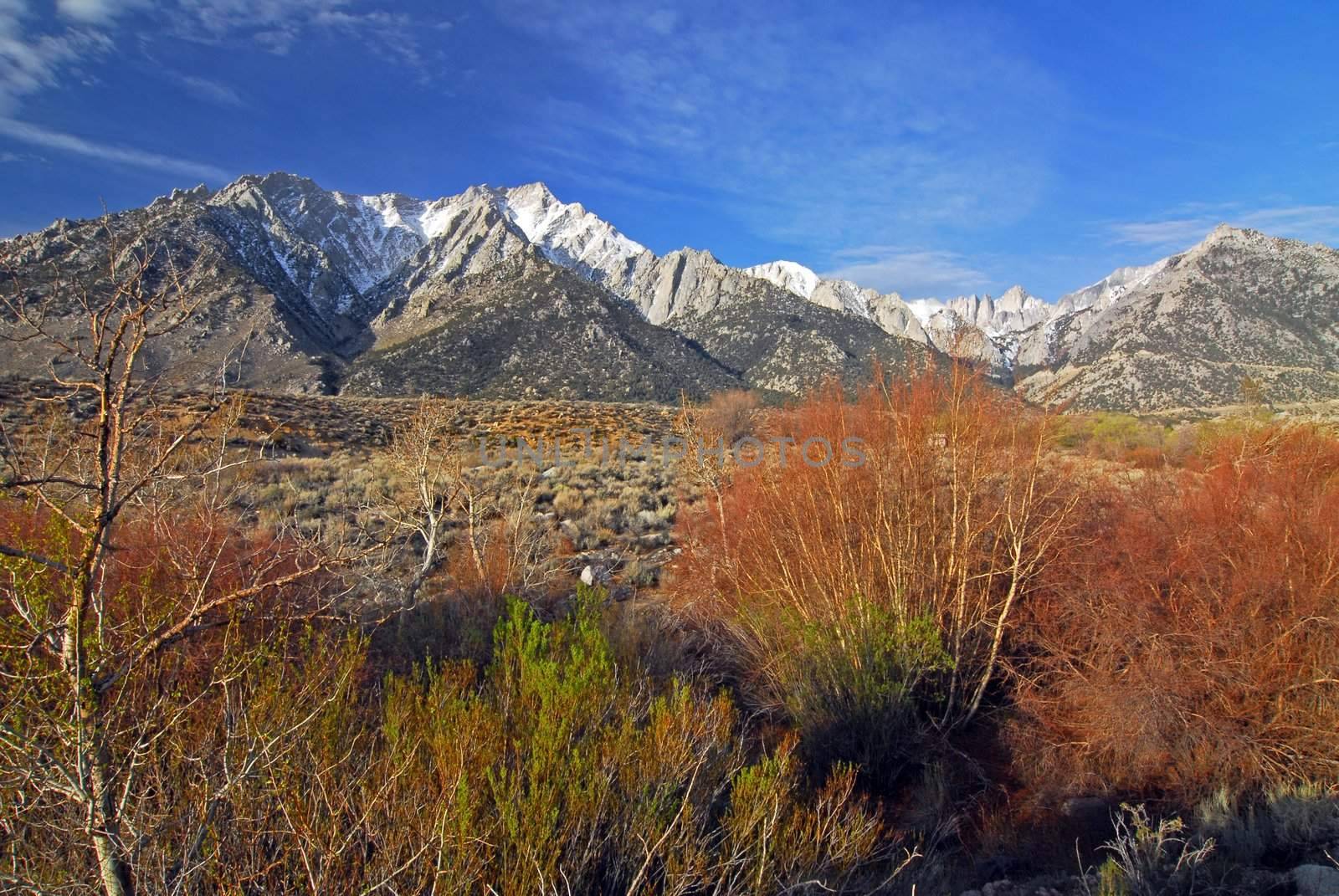 Snow capped Mount Whitney Peak in DeathValley, California