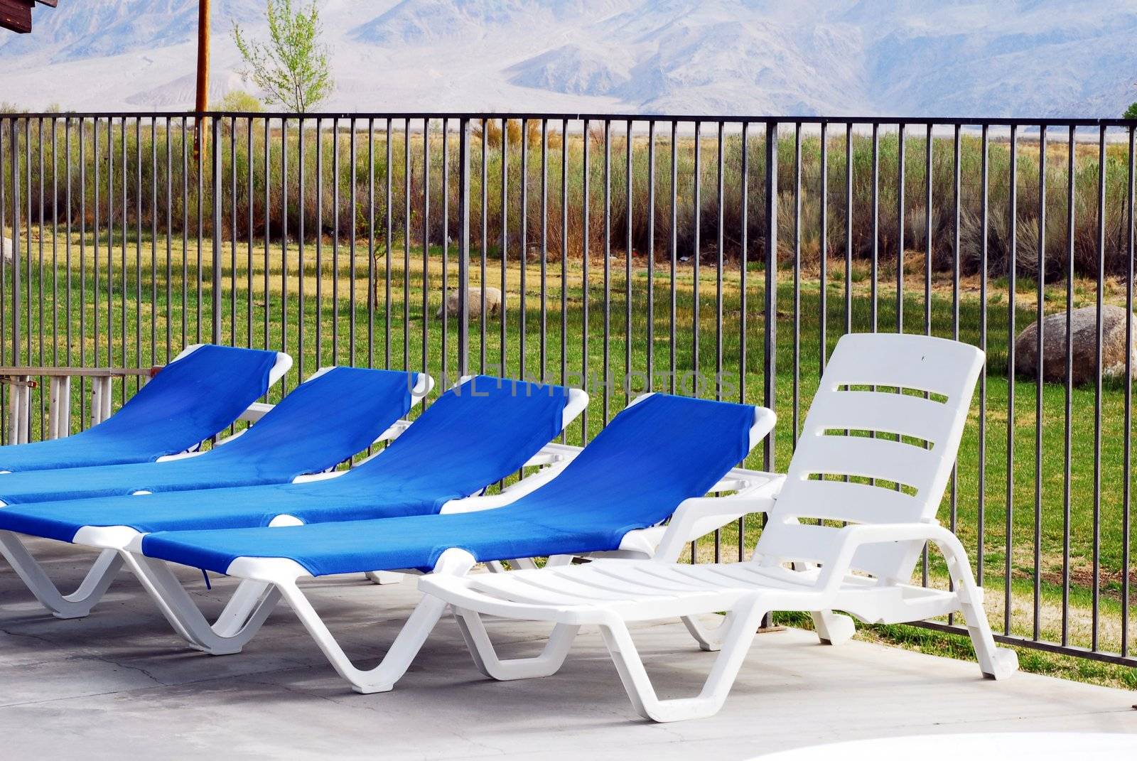 Relaxing poolside chairs to relax