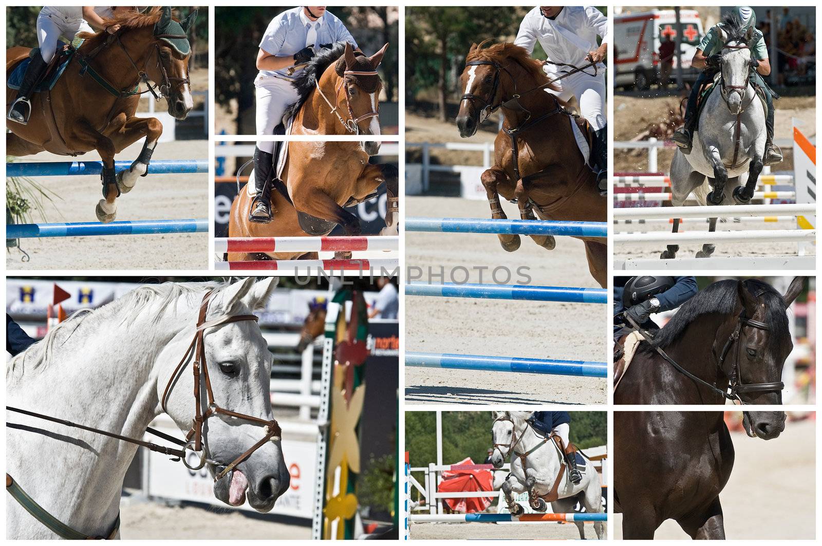 Equestrian jumping. by angelsimon