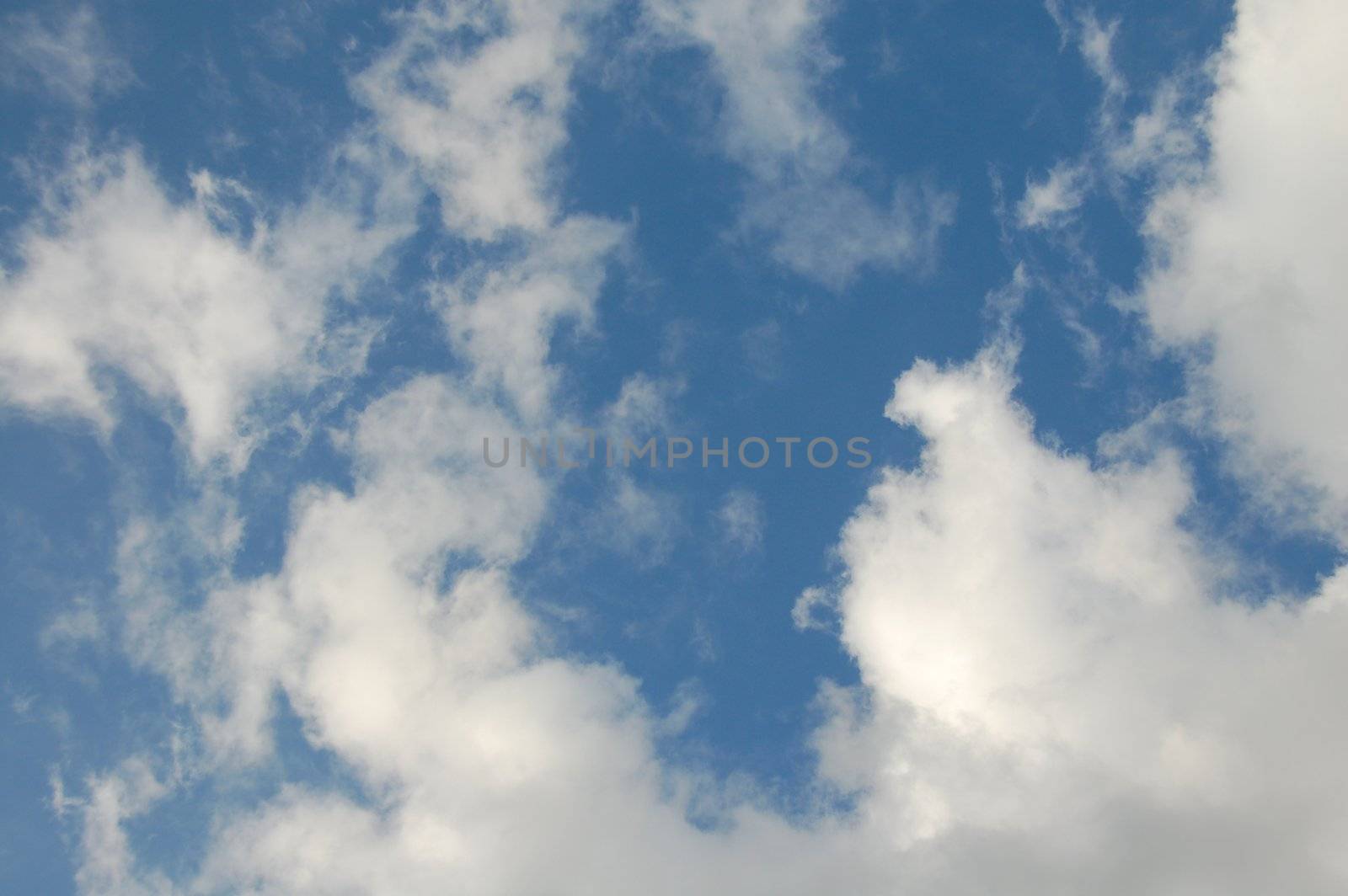 White Clouds on a clear blue sky