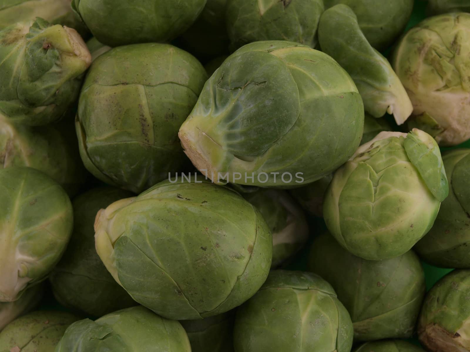 Close up of organic Brussel sprouts with no background.