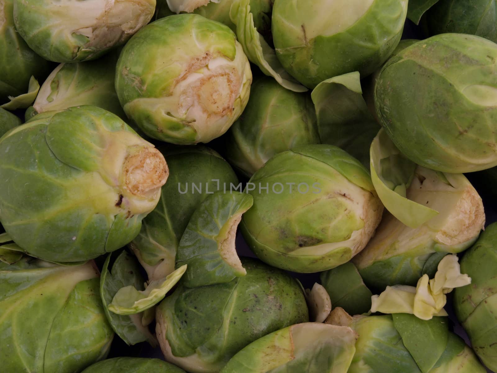 Close up of organic Brussel sprouts with no background.