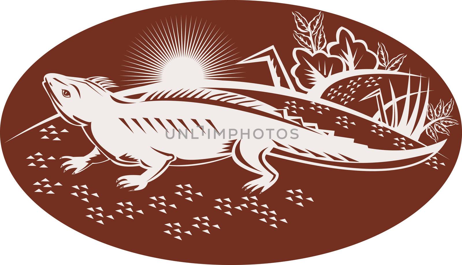 illustration of a New Zealand tuatara looking up with landscape in background