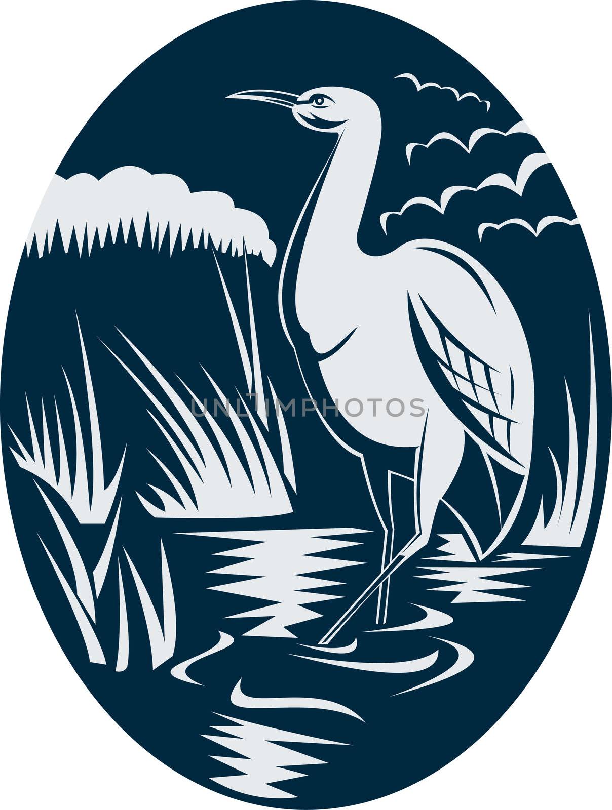 illustration of a Heron wading in the marsh or swamp done in retro woodcut style.