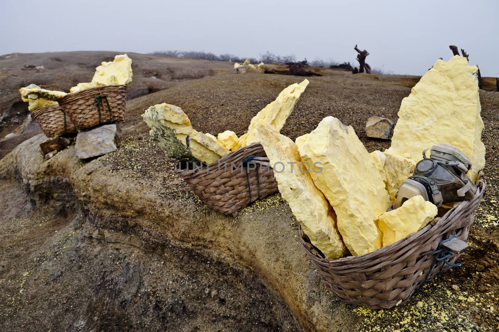 Sulfur baskets by rigamondis