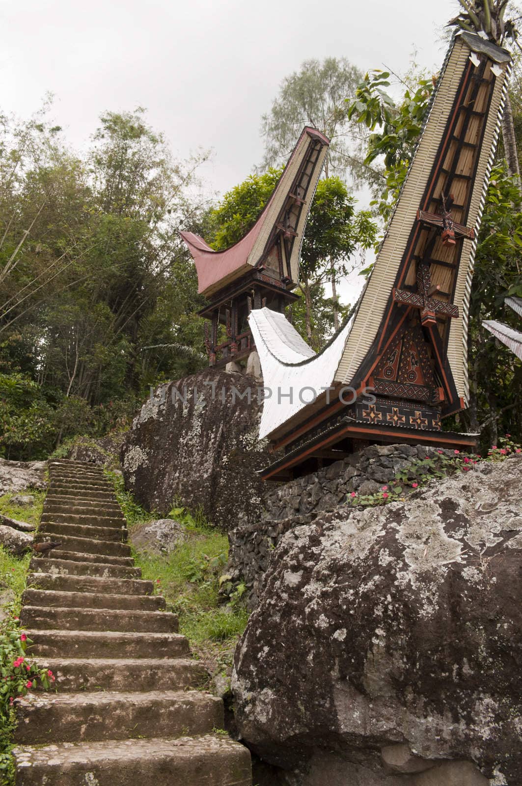 Traditional rural toraja cemetery coffins in a forest