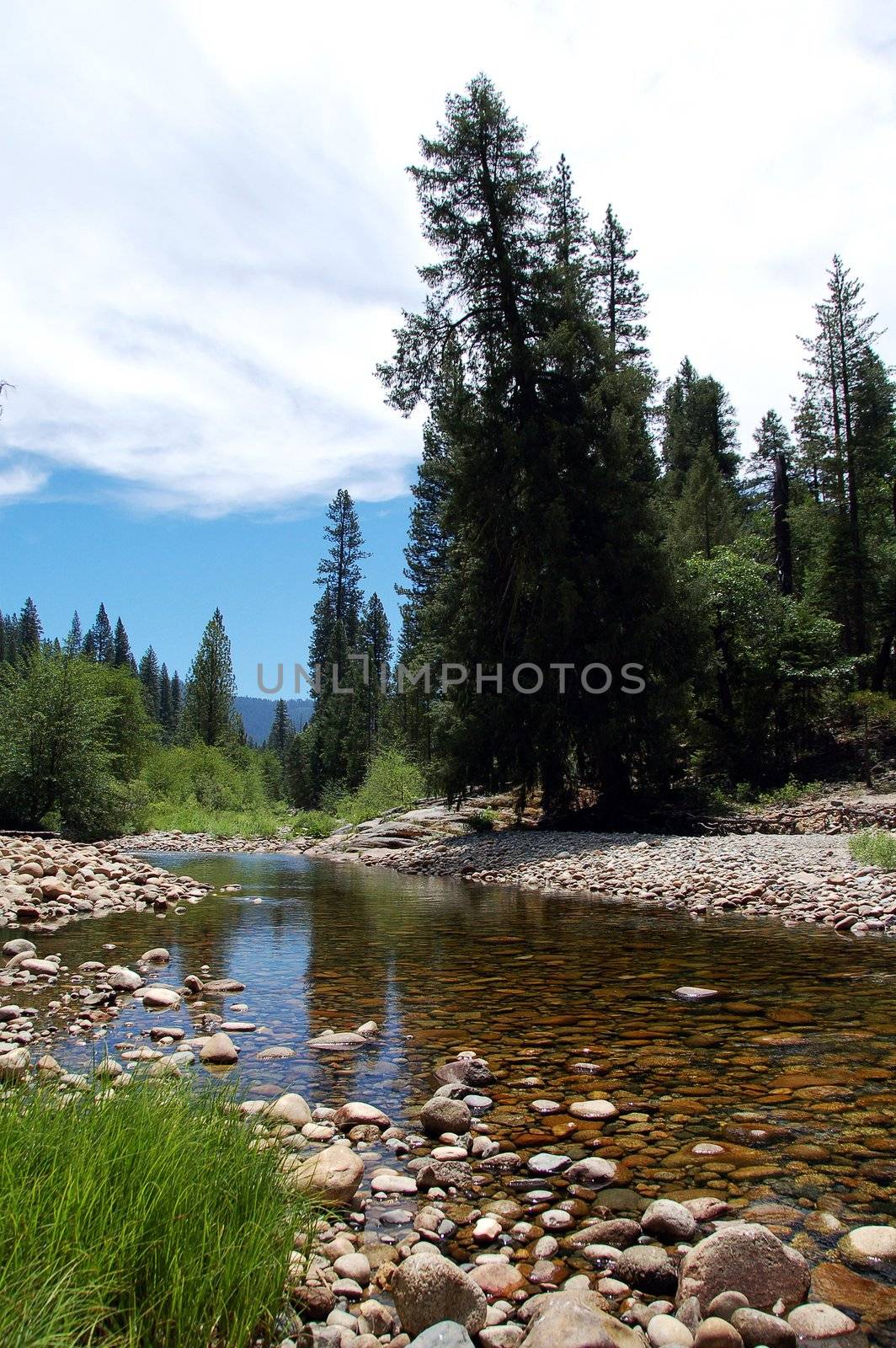 Yosemite National Park Water Stream scenery California USA