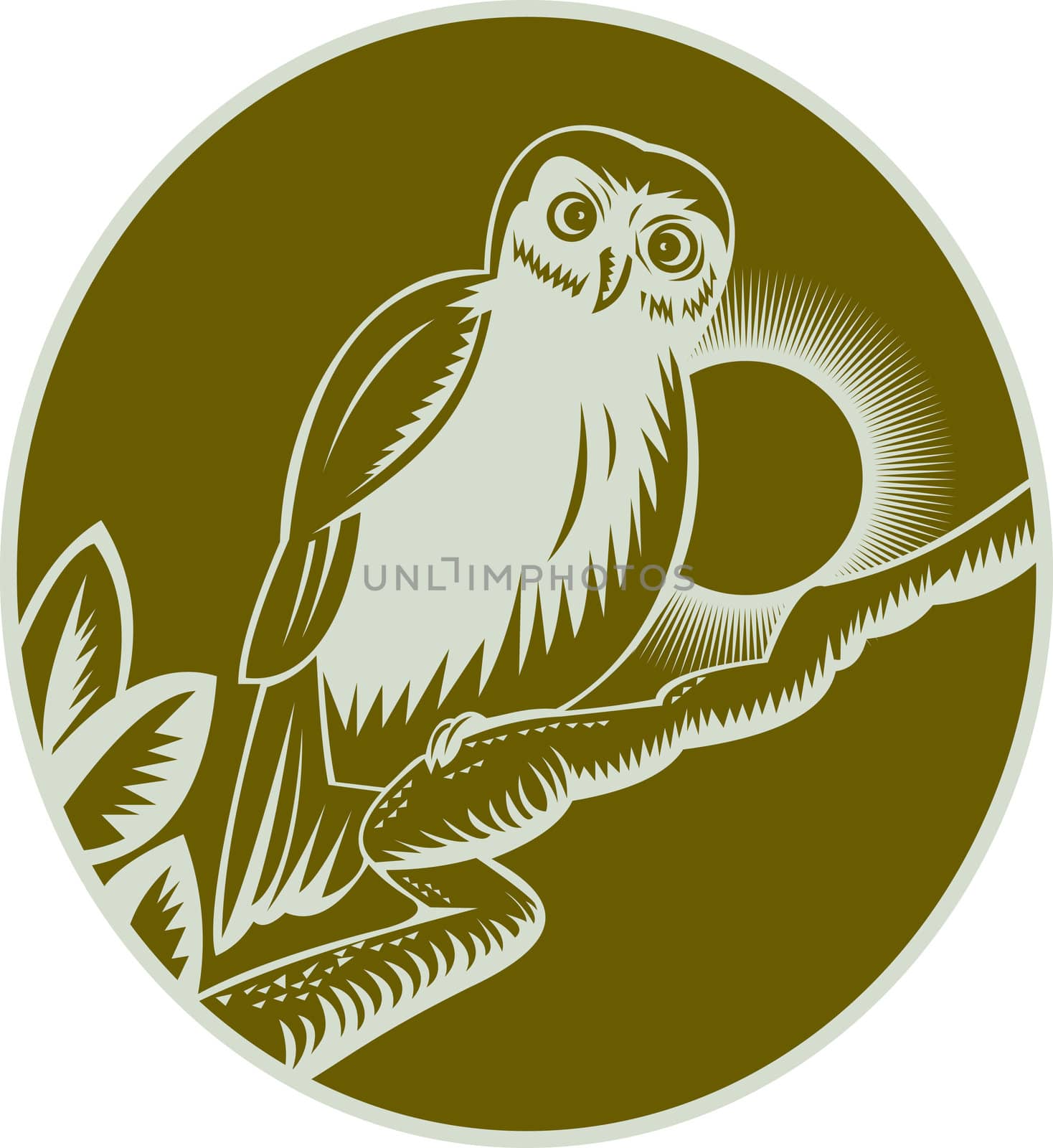 illustration of an owl perched on a tree branch
