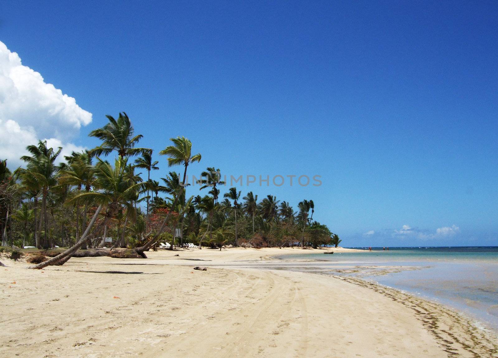 on the beach by Riviera