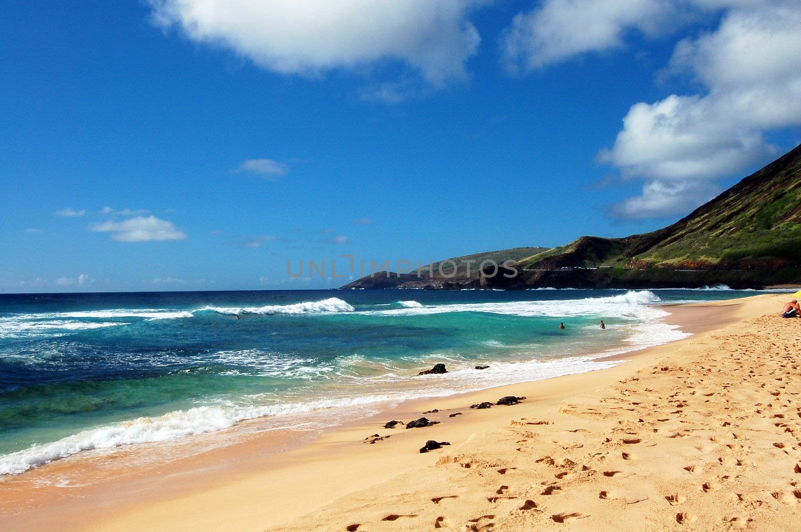 scenic view of the sandy beach in Honolulu Hawaii USA