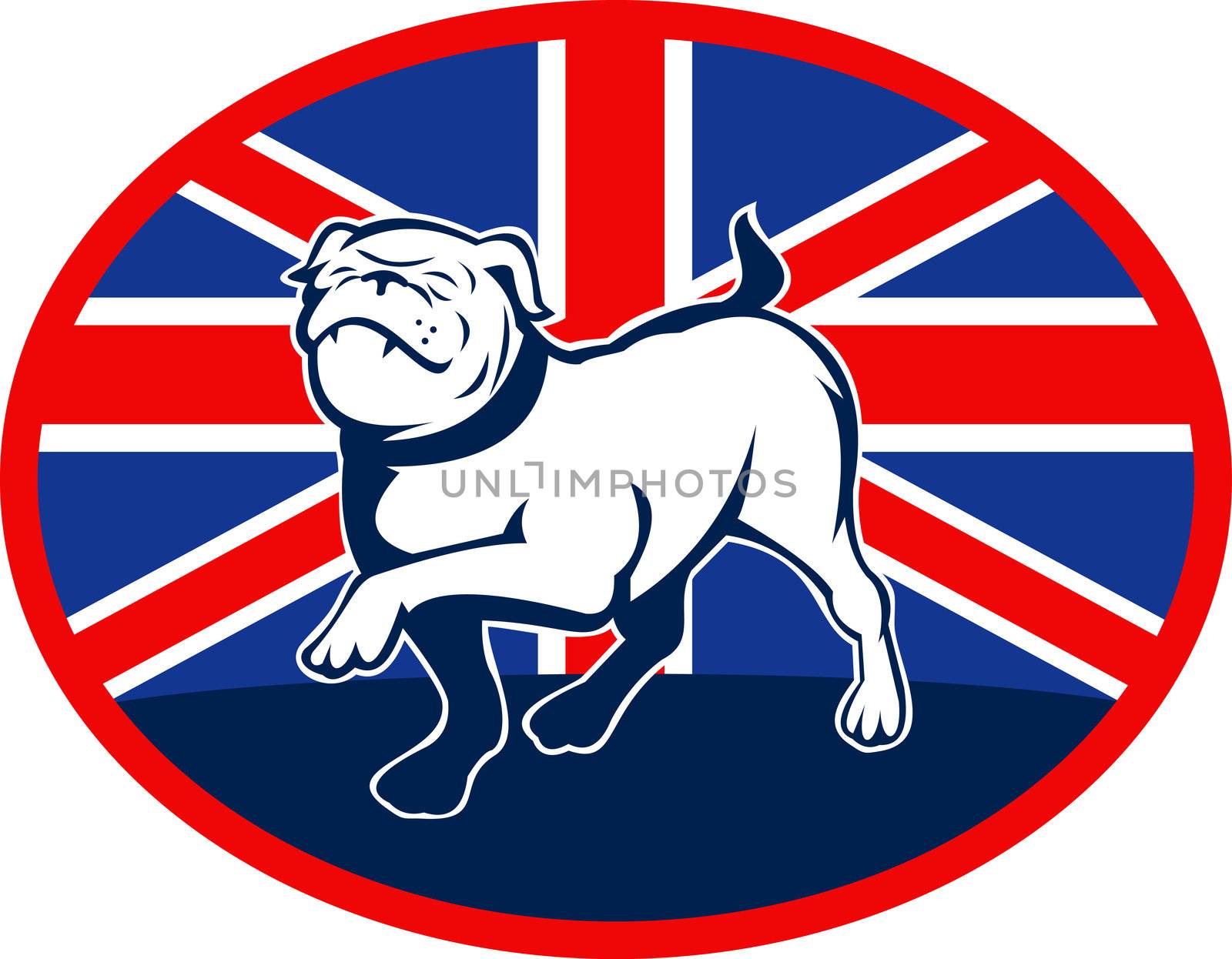 Proud English bulldog marching with British flag by patrimonio