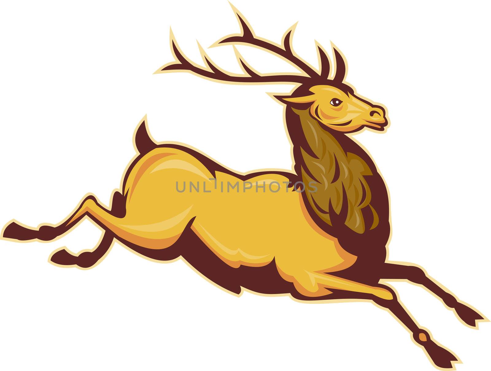  illustration of a Stag deer or buck jumping isolated on whit e background
