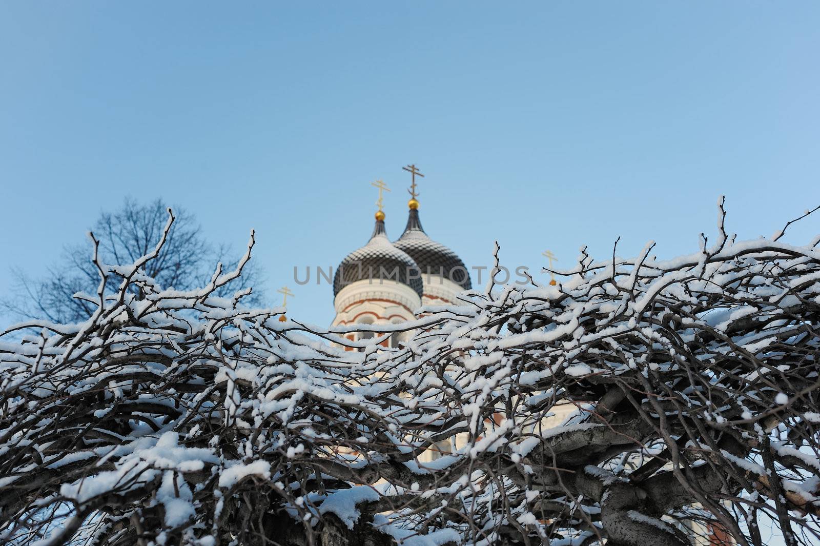 Church cupolas with cross and branches are covered hoarfrost