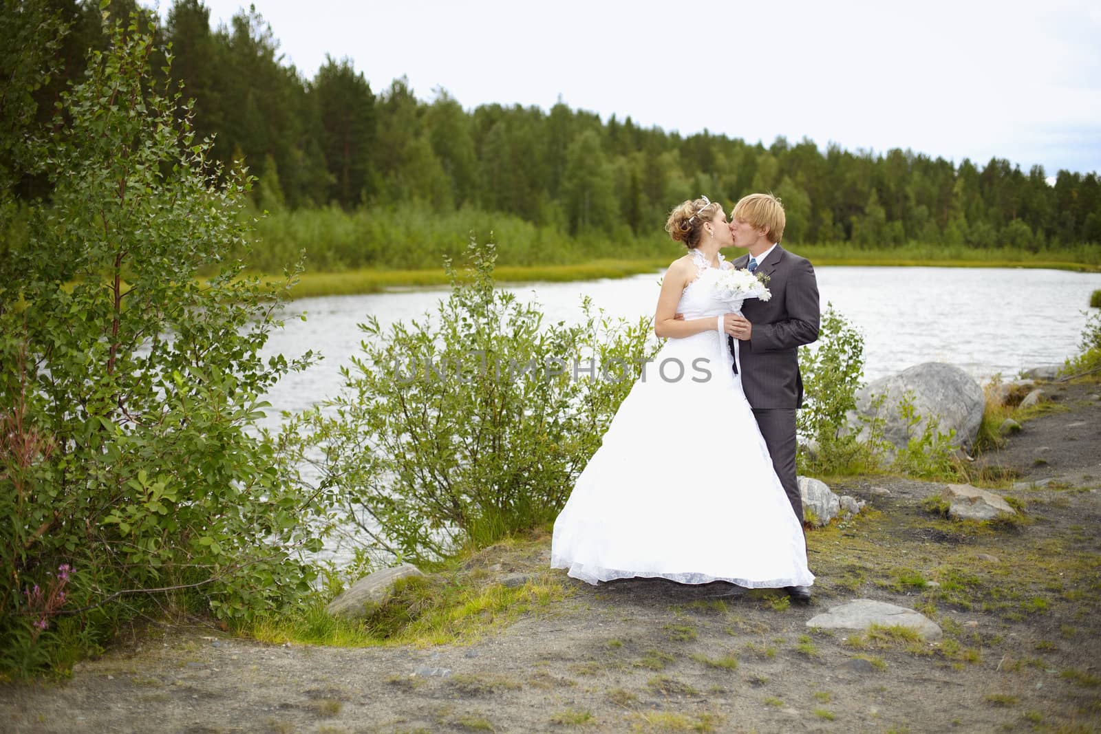 Bride and groom on nature by pzaxe