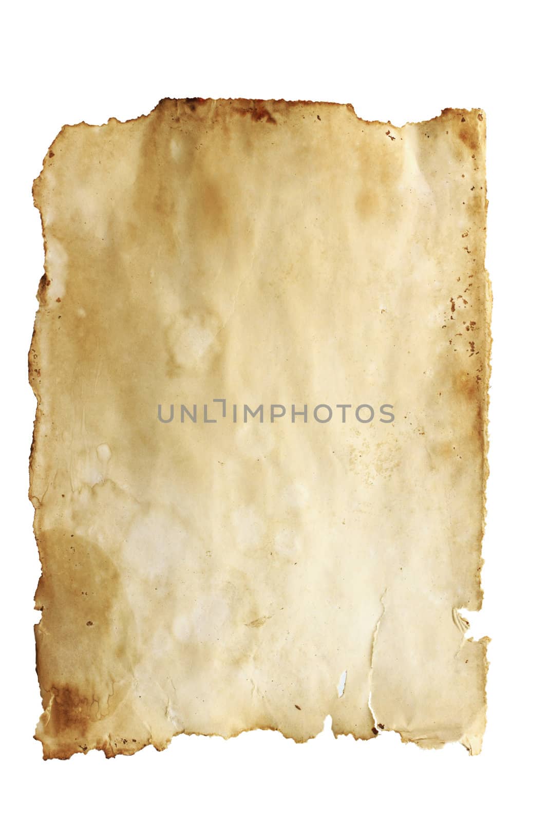 Stained old paper with rough edges isolated on a white background.
