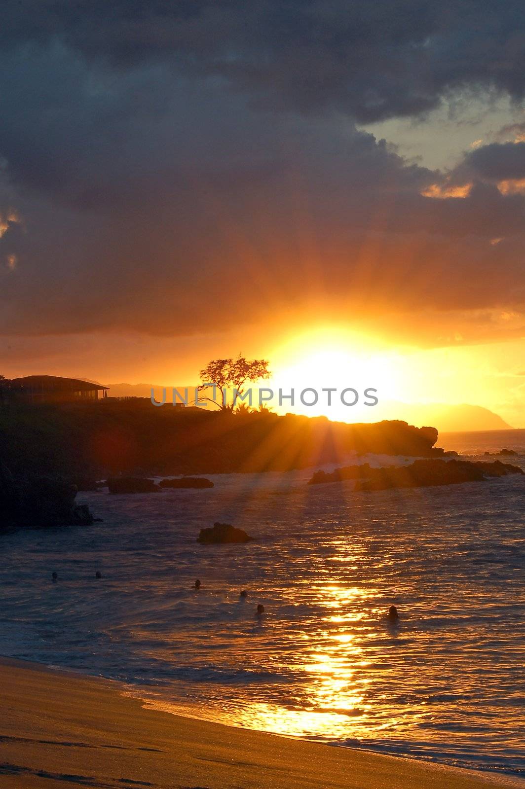 scenic view of the sunset beach in Honolulu Hawaii USA