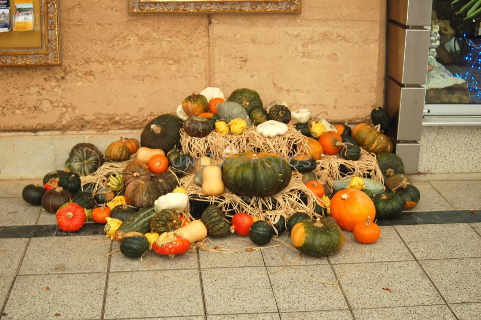 Colourful Autumn Harvest of Organic Pumkins and Squashes