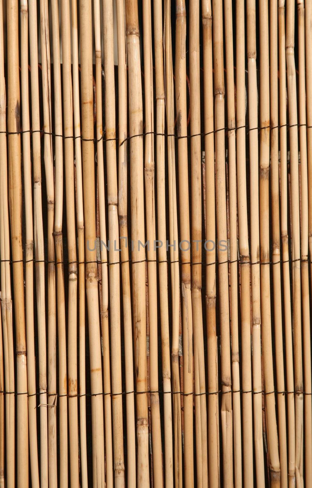 Rush or bamboo texture, digital image