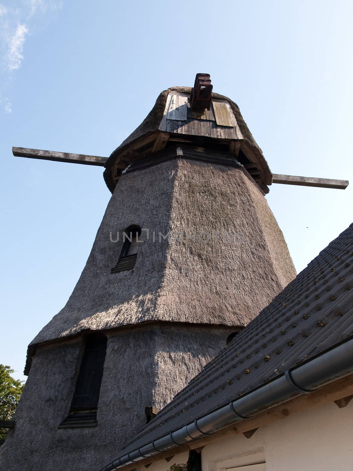 Old windmill in Denmark by Ronyzmbow