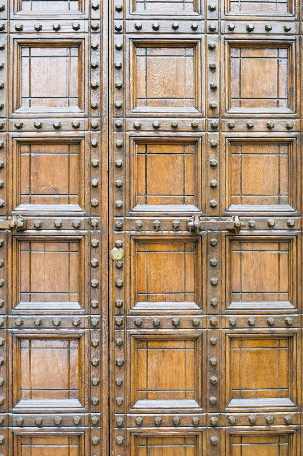 Old wooden door decorated. Italian style